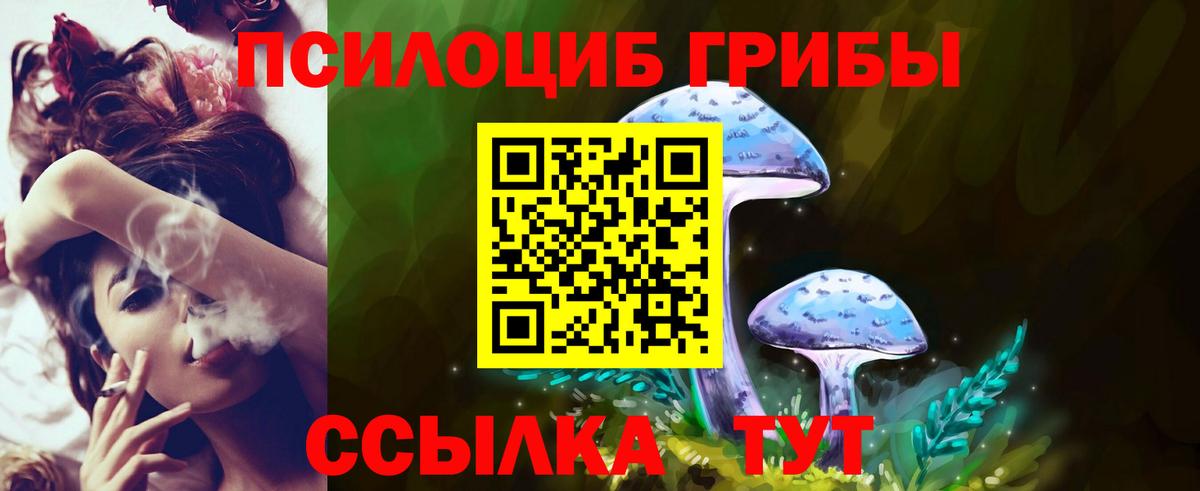 Балашов  Псилоцибиновые грибы Psilocybine cubensis  Вход с VPN 